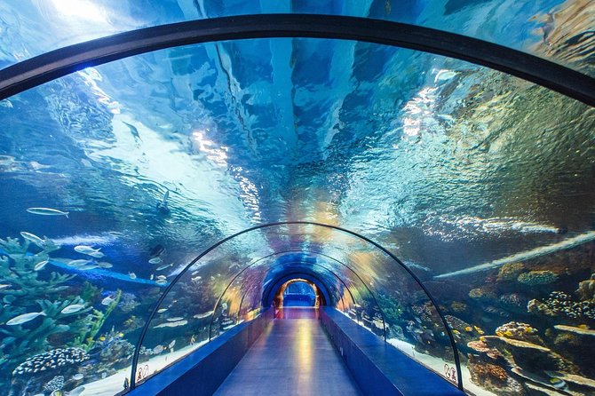 Antalya Aquarium Private Tour
